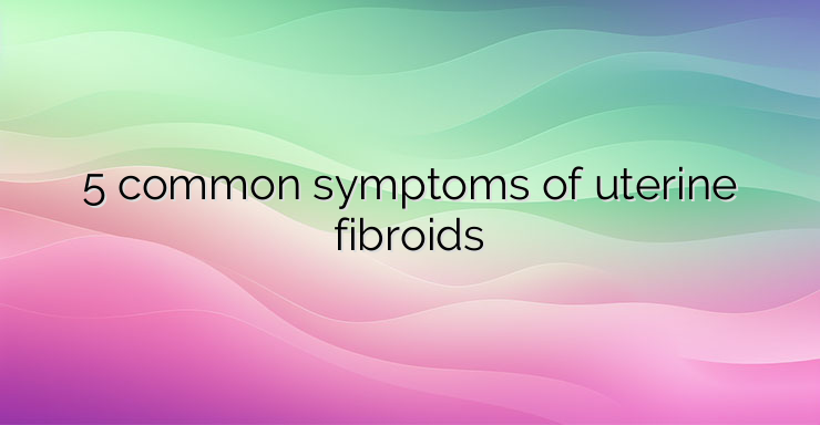 5 common symptoms of uterine fibroids