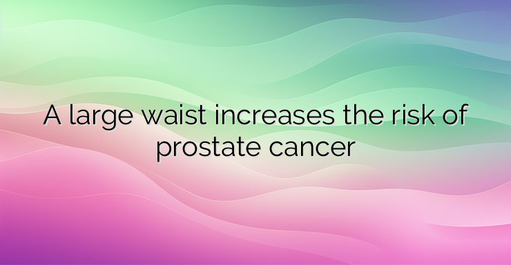 A large waist increases the risk of prostate cancer