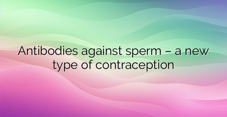 Antibodies against sperm – a new type of contraception