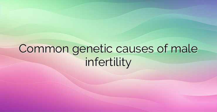 Common genetic causes of male infertility