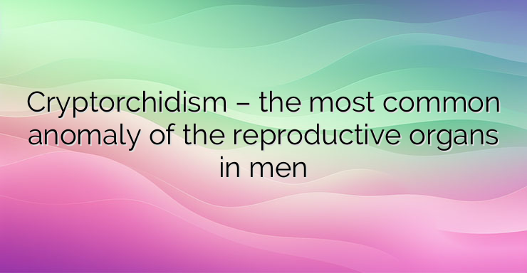 Cryptorchidism – the most common anomaly of the reproductive organs in men