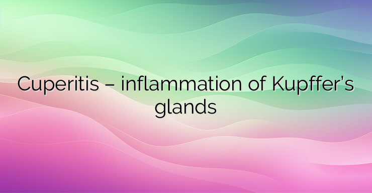 Cuperitis – inflammation of Kupffer’s glands