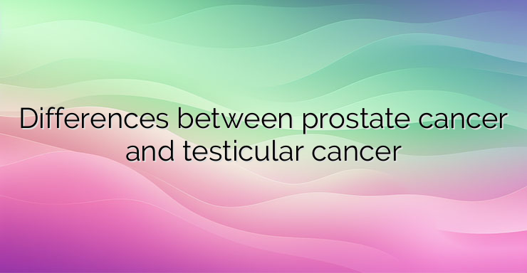 Differences between prostate cancer and testicular cancer