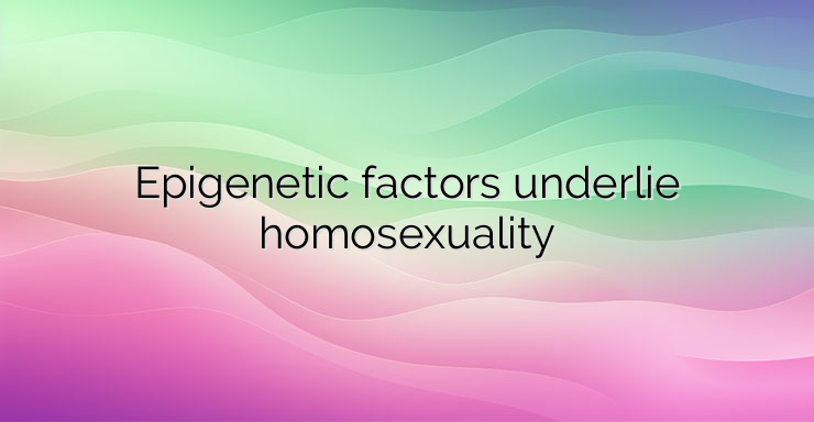 Epigenetic factors underlie homosexuality