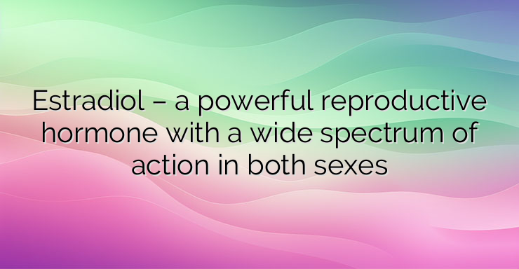 Estradiol – a powerful reproductive hormone with a wide spectrum of action in both sexes