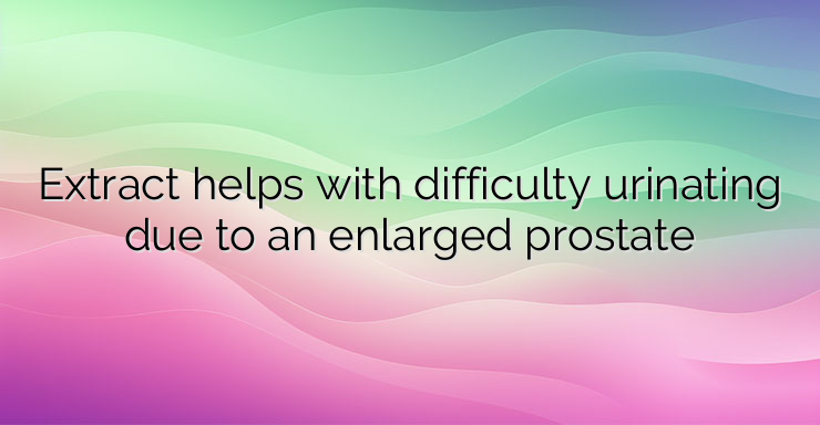 Extract helps with difficulty urinating due to an enlarged prostate