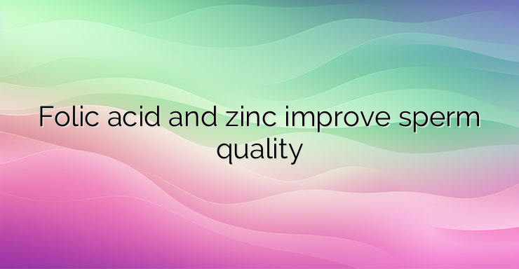 Folic acid and zinc improve sperm quality