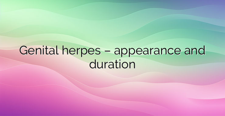 Genital herpes – appearance and duration