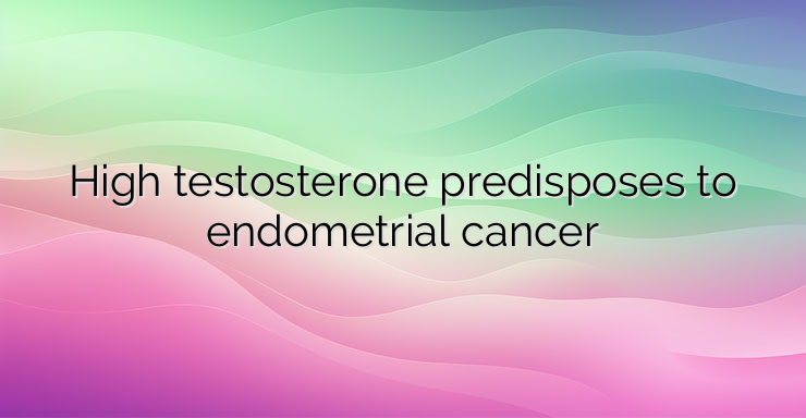 High testosterone predisposes to endometrial cancer