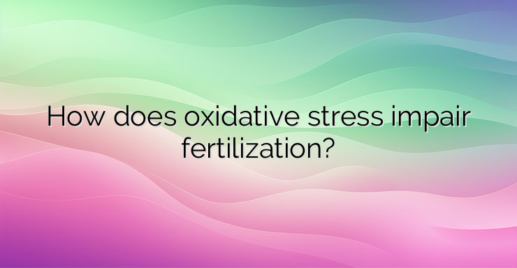 How does oxidative stress impair fertilization?