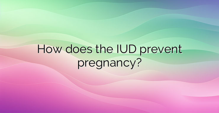 How does the IUD prevent pregnancy?