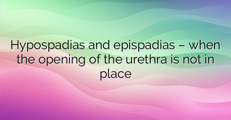 Hypospadias and epispadias – when the opening of the urethra is not in place