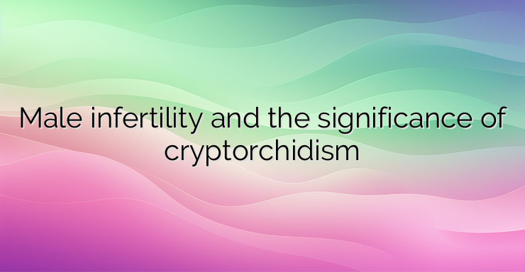 Male infertility and the significance of cryptorchidism