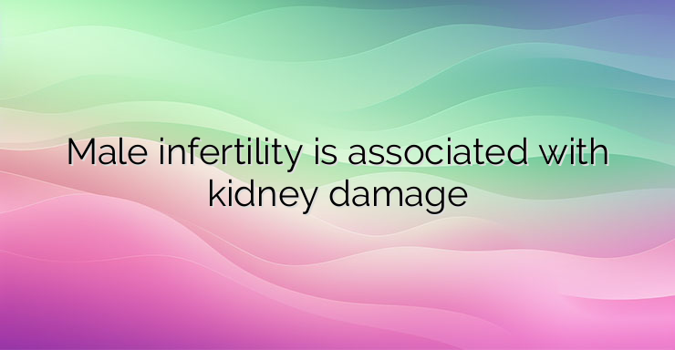 Male infertility is associated with kidney damage