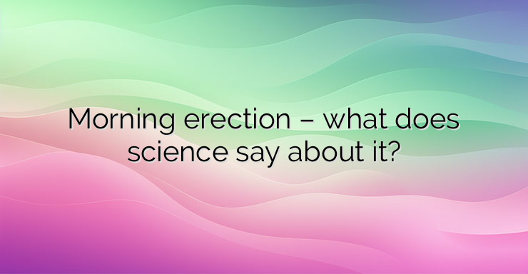 Morning erection – what does science say about it?