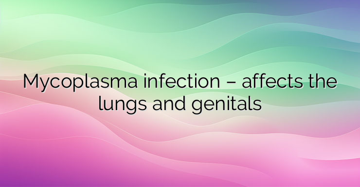 Mycoplasma infection – affects the lungs and genitals