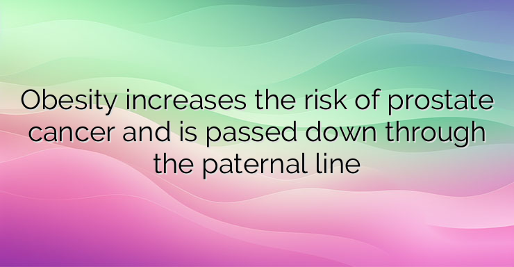 Obesity increases the risk of prostate cancer and is passed down through the paternal line