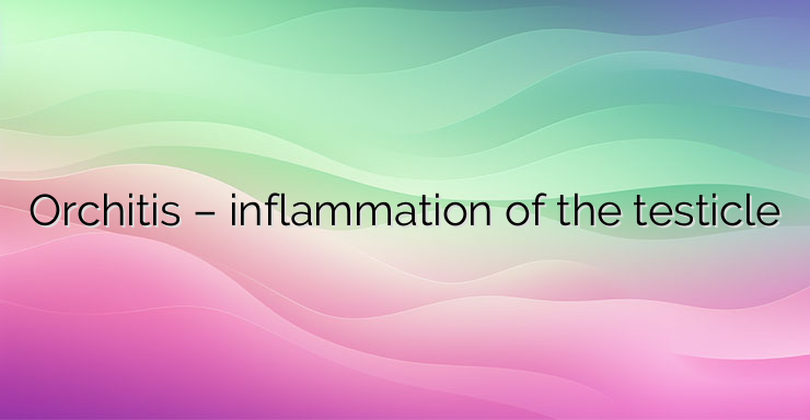 Orchitis – inflammation of the testicle