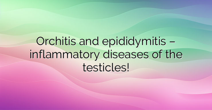 Orchitis and epididymitis – inflammatory diseases of the testicles!