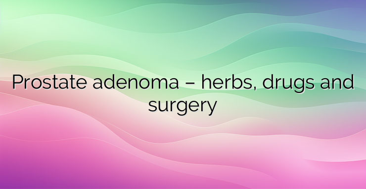 Prostate adenoma – herbs, drugs and surgery