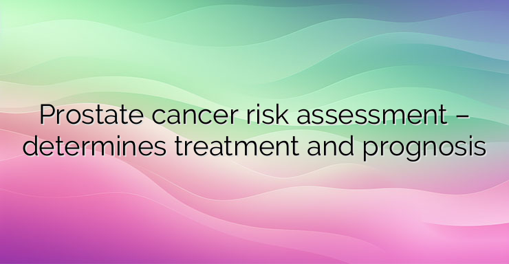 Prostate cancer risk assessment – determines treatment and prognosis