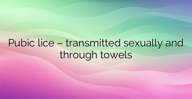 Pubic lice – transmitted sexually and through towels