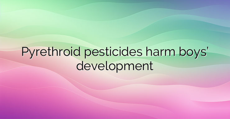 Pyrethroid pesticides harm boys’ development