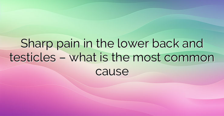 Sharp pain in the lower back and testicles – what is the most common cause