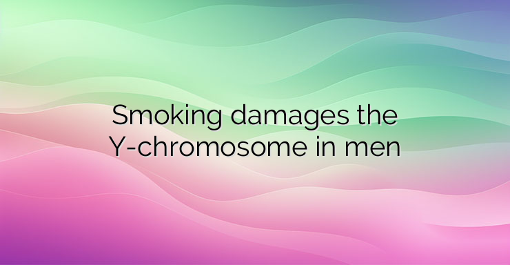 Smoking damages the Y-chromosome in men