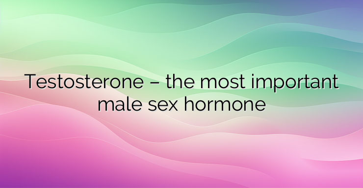 Testosterone – the most important male sex hormone