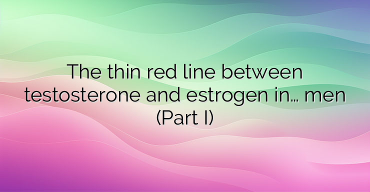 The thin red line between testosterone and estrogen in… men (Part I)