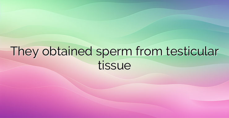 They obtained sperm from testicular tissue