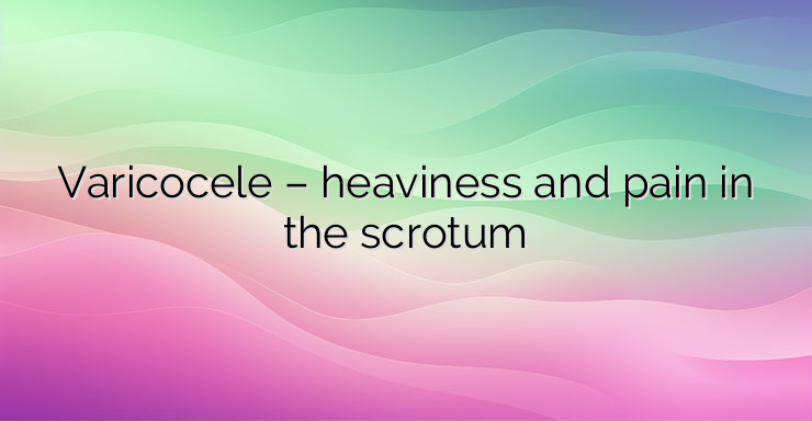 Varicocele – heaviness and pain in the scrotum