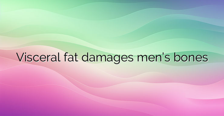 Visceral fat damages men’s bones