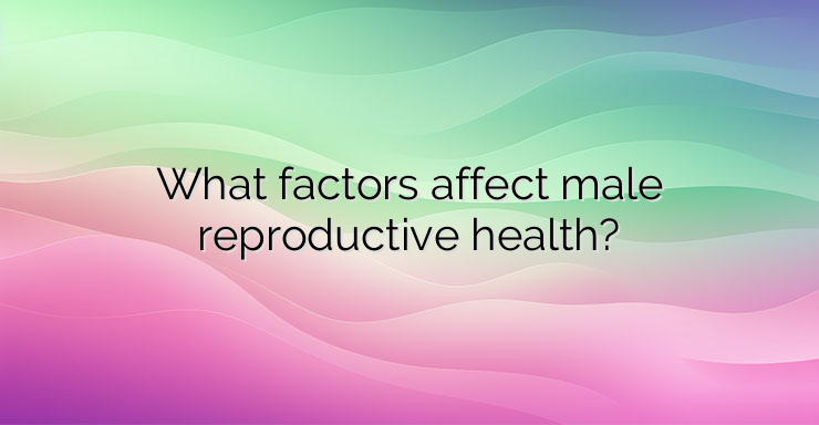 What factors affect male reproductive health?