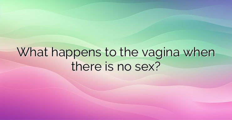 What happens to the vagina when there is no sex?