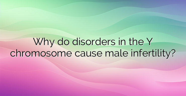 Why do disorders in the Y chromosome cause male infertility?