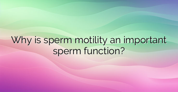 Why is sperm motility an important sperm function?